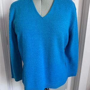Banana Republic Women's V-Neck Sweater in Bright Teal Blue